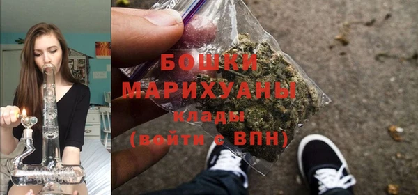 mdpv Дмитровск