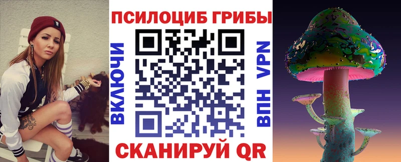 Псилоцибиновые грибы Psilocybine cubensis  Купить где  Заводоуковск 
