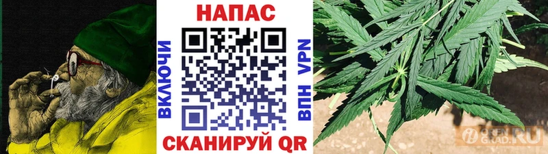 Купить закладки  Заводоуковск  Конопля MAZAR 